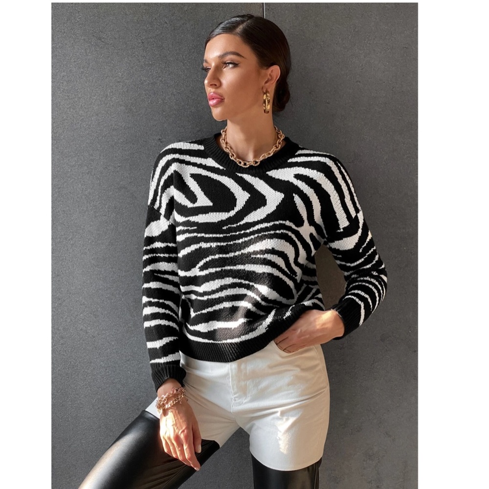 Black & White Zebra Stripe Pullover Sweater Round Neck Long Sleeve Drop Shoulder - Picture 3 of 8